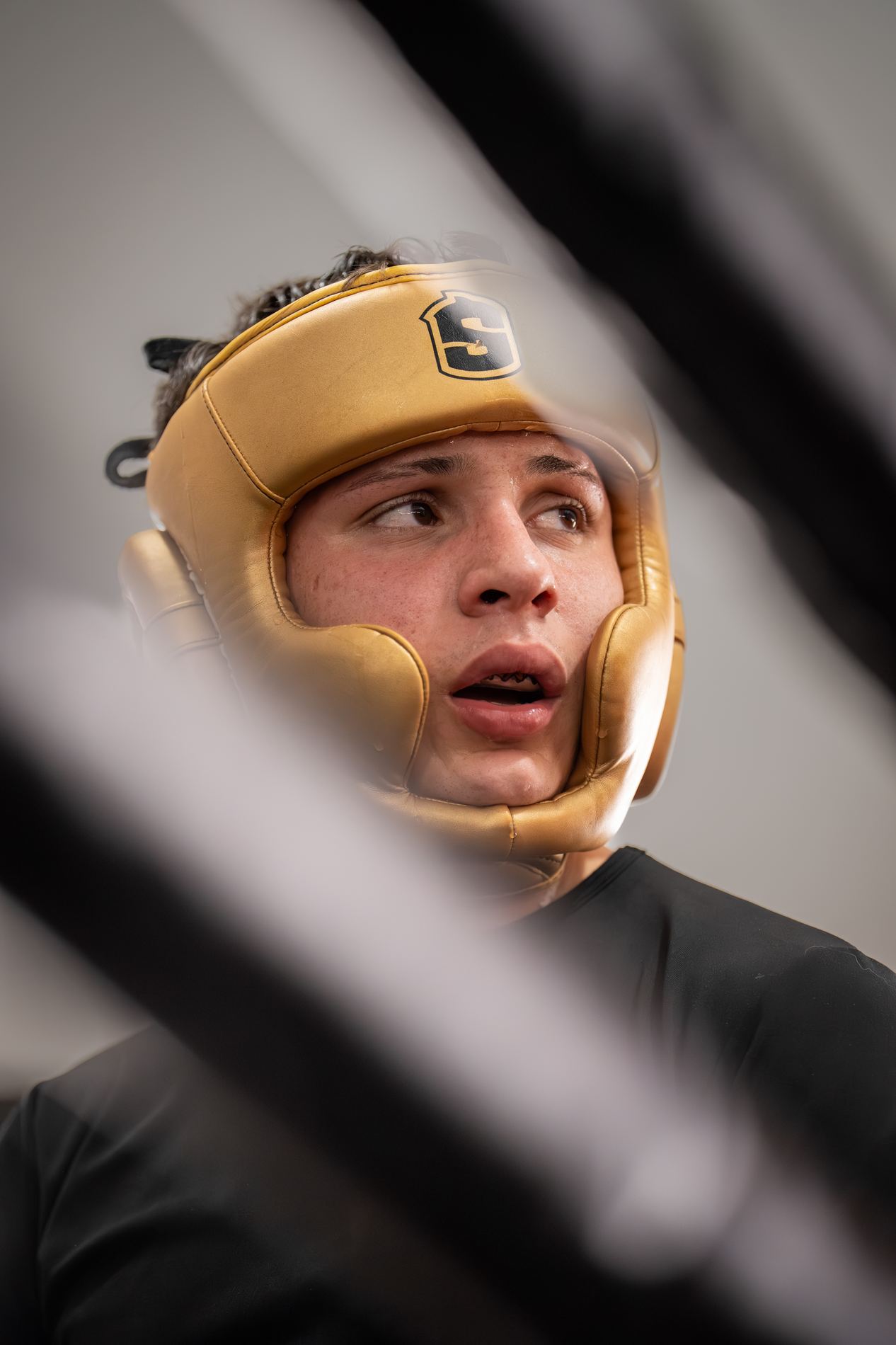 Retrato de boxeador